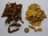 BUŁGARIA - liscie tytoniu Virginia i Burley strips - DOLNY ŚLĄSK